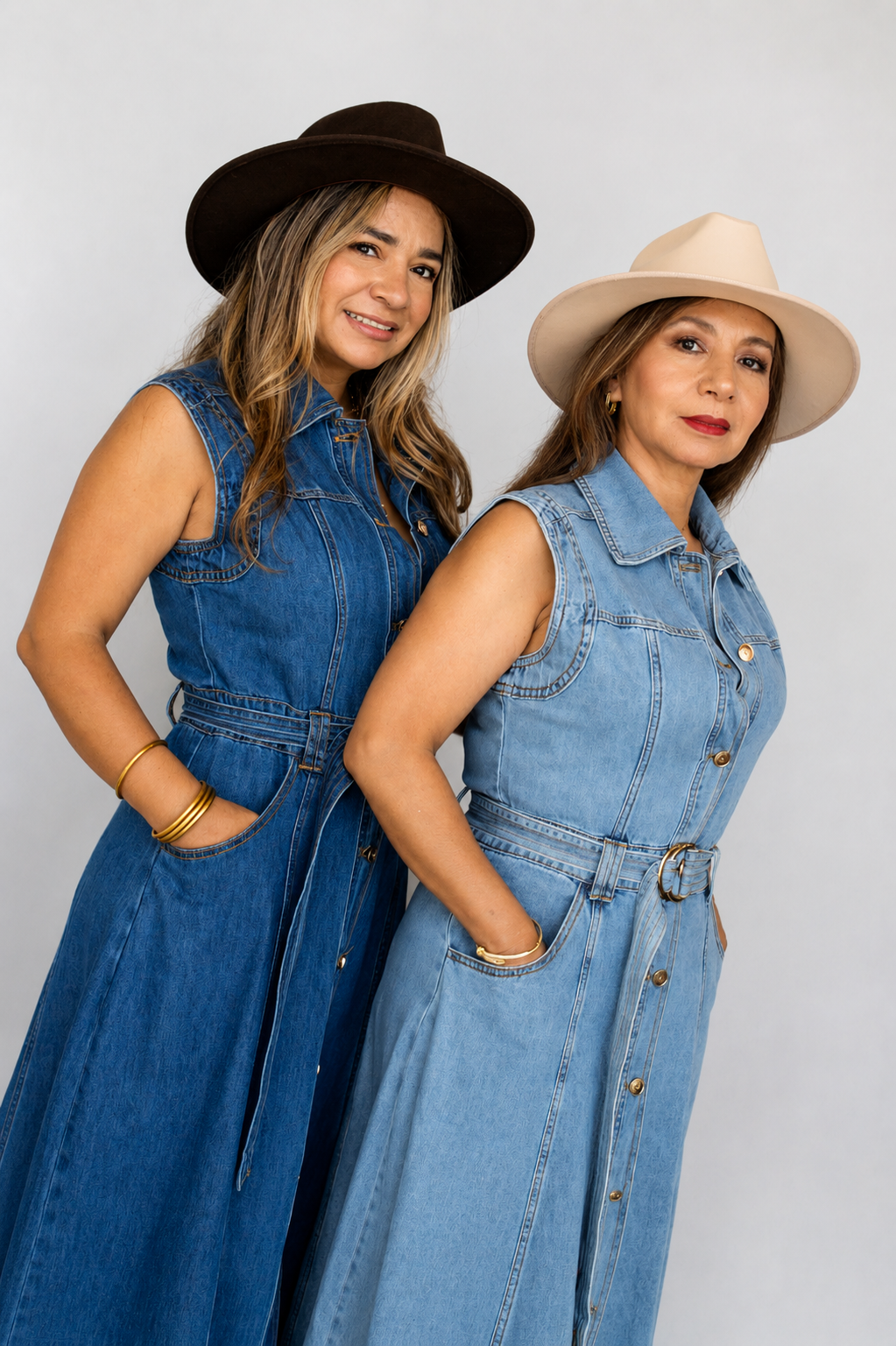 DAKOTA DENIM DRESS / LIGHT DENIM